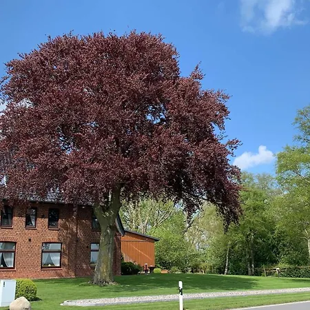 Ubytování v soukromí Gaestezimmer & Elskop