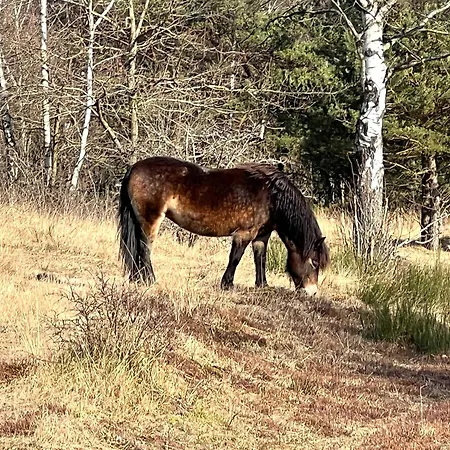 Ubytování v soukromí Gaestezimmer & Elskop